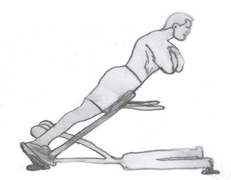 Back extension is a body weight training exercise which helps to make your  lower back muscles strong.