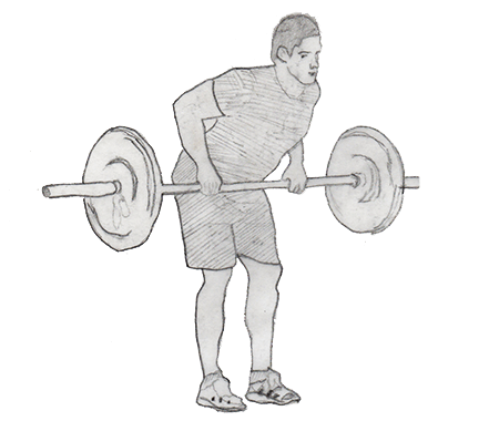 Bent over row is a an effective exercises for your back muscles. especially for your major and minor muscles. Main muscles targeted is Latissimus dorsi, rhomboids