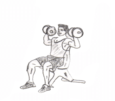 Dumbbell Shoulder Press targets your anterior and middle deltoids(shoulder muscles) and upper trapezius(upper back muscles) and is performed with two variety one by standing and other by sitting on the bench.