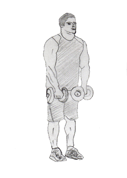 Dumbbell Front Raise targets your Dumbbell Front Raise(shoulder), Upper trapezius(upper back) and also your triceps. Gives you a perfect shoulder shape.