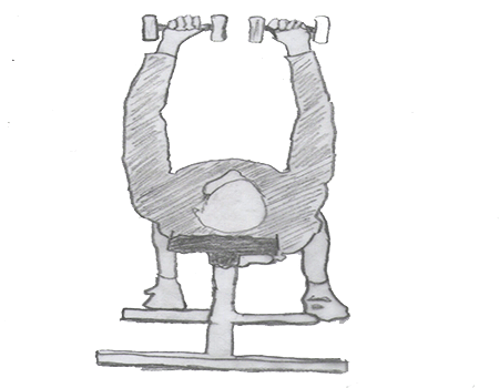 Dumbbell Bench Press is a great exercise for your chest. Dumbbell Bench press exercise is performed by lifting dumbbell in your hands. Dumbbell Bench press exercise is for beginners.